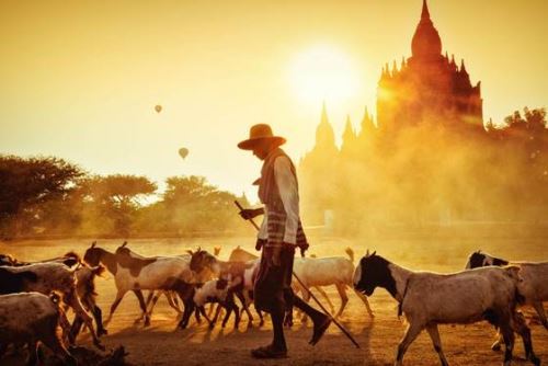 A snapshot of Myanmar