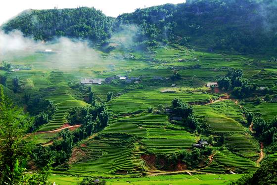 Mai Chau