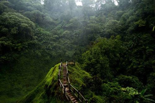 El encanto del sur de Laos 9 días